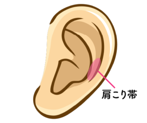 耳つぼ肩こり帯の位置